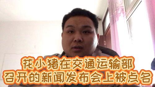 爆料花小猪的新闻,行业监管再引热议  第2张